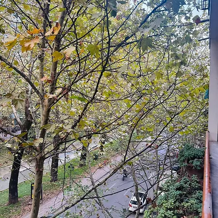 Premium With Balcony Apartment *